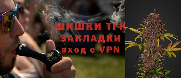 ПСИЛОЦИБИНОВЫЕ ГРИБЫ Инта