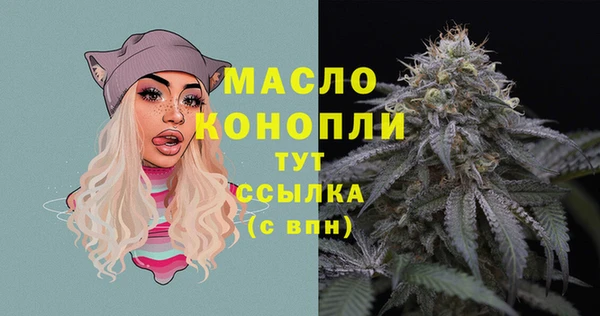 мет Протвино