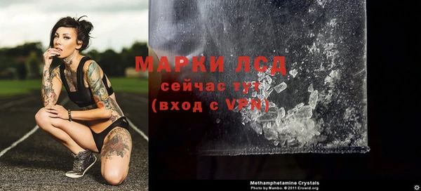 стаф Елизово